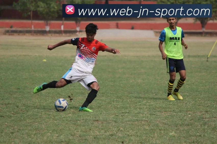 江南体育平台生态图